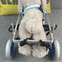 Silla de ruedas para perros con discapacidad, elevador de extremidades traseras para mascotas, carrito de aleación de aluminio, Osito de pelo dorado, asistencia para piernas traseras, soporte para ejercicio, andador - details 16