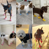 Zapatos de verano para perros pequeños, sandalias reflectantes transpirables antideslizantes, calcetines para mascotas, zapatillas para cachorros, Chihuahua, Yorkie, botas para exteriores - details 14