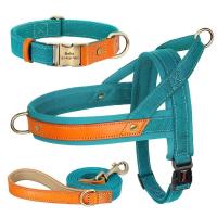 Collar de Cuero de Nylon para Perros Correa de Captura de Mascotas sin Tirón para Perros Pequeños y Grandes Correa de Vestir de Mascotas - details 4