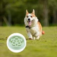 Bol para Comidas Lentas para Mascotas Pequeñas A Prueba de Asparca, Antideslizante, Adecuado para Perros y Gatos - details 1