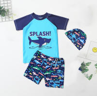 Bañadores de manga corta para niños, ropa de baño de secado rápido, transpirable, con estampado de dibujos animados, 3 piezas - details 4