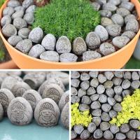 Exquisita estatuilla de Buda de piedra hecha a mano, estatua de Buda de piedra pequeña realista, artesanía de resina, maceta decorativa para terraza y patio - details 9