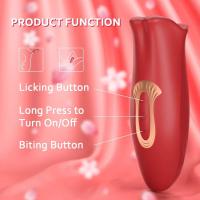 Leten Juguete Vibrador Dildo para la Espina Dorsal French Kissing Estimulador de Placer para Mujeres Juguete Sexual Adulto - details 5
