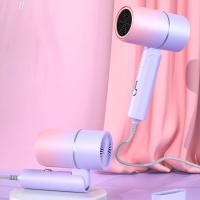 Seguro de pelo de viaje de Alta Potencia Eficacia y Seguridad plegable en Quier Lugar Little ruid - details 0