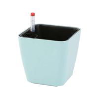 Flores resistentes a la intemperie en espacios pequeños ETA, autoirrigación duradera ETA S Beauty para plantas de jardín - details 0