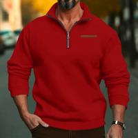 Jersey de cuello alto de terciopelo para hombre, suéter informal de color sólido, media cremallera, talla grande, tendencia de invierno - details 7