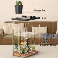 Caja transparente para observación de peces Betta, extraíble con cubierta, pecera de mesa, pecera dorada, macetero hidropónico de plástico, pecera - details 4