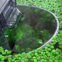 Carcasa de planta flotante para acuario, mejora la calidad del agua del tanque de peces, valla para decoración del hogar - details 5
