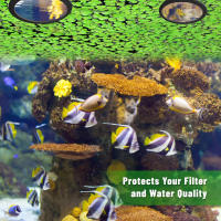 Acuario de piscina al aire libre, Corral de Material EVA duradero, cúpula de pescado para evitar que los peces se escapen - details 7