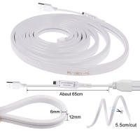 GAHADA Tira de LED Neón Moderna 108LEDs/m Impermeable Control Remoto Aplicación Bluetooth - details 5