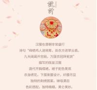 Hanfu-Disfraz antiguo chino de verano para niña, Súper Hada, falda de princesa para niño, Otoño/Invierno, Primavera/otoño, novedad de 2025 - details 2
