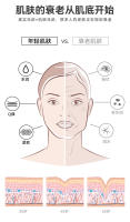 Nuevo Instrumento de Belleza para el Cuello Masaje Multifuncional para Eliminar Líneas del Cuello, Pliegues Nasolabiales, Tratamiento de Luz de Color de Microcorriente - details 4
