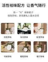 Hoja colgante de aromaterapia para coche, yeso de gardenia interior de coche, nuevo modelo de alta gama, fragancia duradera de osmanthus - details 12