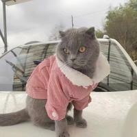 Ropa de lana gruesa para mascotas, abrigo cálido para gatos pequeños y medianos, chaqueta para gatitos, Chihuahua, Bulldog de peluche, Otoño e Invierno - details 8