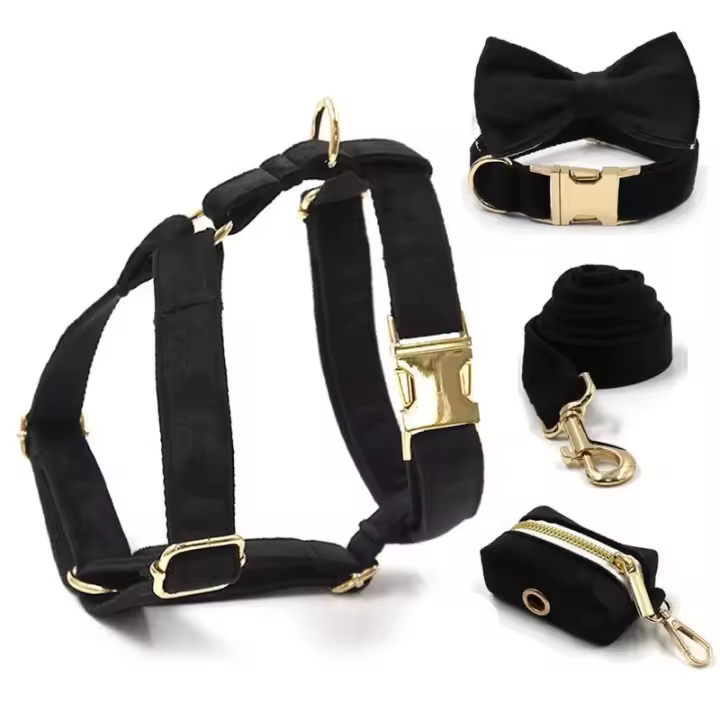 Arnés terciopelo negro, perro duradero personalizado alta calidad con hebillas Metal dorado, Collar y correa para mascotas de - 1