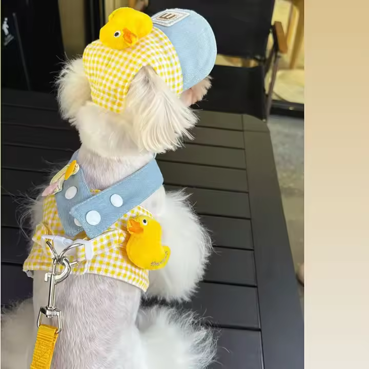 Conjunto de arnés y correa para perro pequeño, ropa de tres piezas con sombrero, chaleco de verano para mascotas - 1