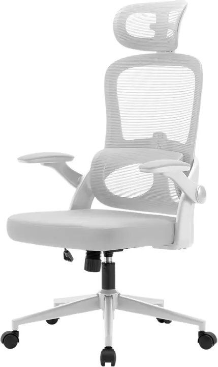 Silla ergonómica para escritorio Grande y alta con apoyabrazos plegables Soporte lumbar ajustable - 1