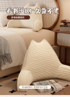 Nuevo tumbona TV lectura cojín Lumbar cama cojín Triangular soporte cuña cama cama cómoda descanso cintura almohada - details 0