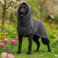 Disfraces para Perros, Chaqueta Calmante de Terciopelo para Perros, Sudadera con Capucha para Mascotas de Color Sólido, Gruesa, Resistente al Viento, Ropa de Dormir Cálida para Mascotas, Invierno y Otoño - details 4
