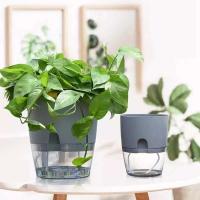 Plástico usado autoirrigación de plantas hidropónicas, ETEros en jugoso ETA, decoración de escritorio transparente para hogares y oficinas - details 8