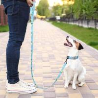 Correa nailon perro 150cm, cuerda de plomo con estampado colorido perros y gatos, correas cinturón mascotas, entrenamiento para - details 11