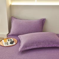 Bonenjoy-funda de almohada de terciopelo cálido, Fundas de cojín de Color sólido, 2 piezas, rectangular, 48x74cm - details 0