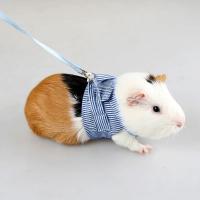 Set de Correa para Conejo con Correa de Pecho Equipo de Paseo al Aire Libre para Mascotas Pequeñas - details 4