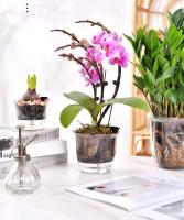 Maceta transparente de plástico con autorriego para jardín interior - details 1