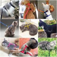 Set de Correa Ajustable de Nylon para Mascotas al Aire Libre Correa de Montura para Conejo Gato - details 3