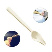 Alimentador de plástico de leche en polvo para pájaros, cuchara de medicina resistente al calor, mango largo, pollitos engrosados, alimentación de aves - details 2