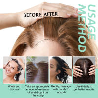 El romero nutre suavemente ilumina el cabello, hidrata y suaviza el aceite esencial para el cuidado del cabello - details 4