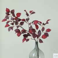 Rama de haya larga Artificial de 98cm, flor de lujo, hoja de haya de seda de imitación, plantas verdes realistas, hojas para suelo interior - details 12