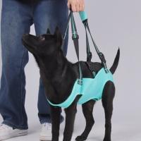 Arnés de elevación para perros con correa ajustable, asa gruesa, portador portátil para perros, forro suave, soporte para piernas, chaleco de elevación para mascotas - details 9
