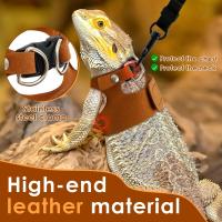 Conjunto de Correa y Lazo de Dragón de Barba de Cuero Suave Ajustable para Reptiles 3Pcs - details 3