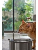 Dispensador de agua de acero inoxidable para mascotas popular - details 4