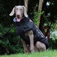 Chaqueta De Invierno Para Perros Con Arnes Impermeable Ropa Grande Para Perros Chihuahua Bulldog Francés Adecuada Para Animales De Tamaño Grande 6XL - details 11