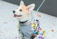 HOOPET-chubasquero para perro, abrigo impermeable de cuatro patas para las cuatro estaciones, Corgi, Teddy, perros pequeños y medianos, chubasquero para mascotas con almohadilla de remolque - details 10
