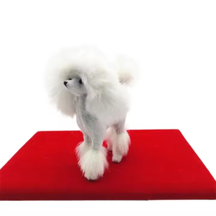 Decoración de la habitación, molde de enseñanza, manualidades, regalo, decoración del hogar, figuras de caniche de perro de simulación, figuritas en miniatura, adornos de escritorio - 1