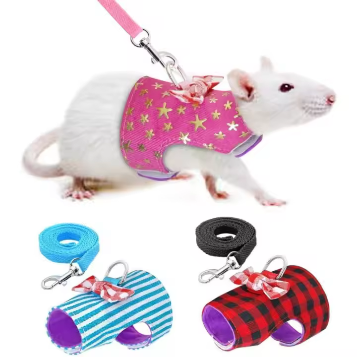 Small Pet Outdoor Walking Harness Vest and Leash Set with Cute Bowknot Decor Chest Strap - 1