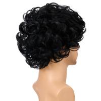 Peluca corta natural marrón de 10 pulgadas, fibra resistente al calor, cosplay retro, peluca sintética ondulada y rizada, cabello esponjoso y atractivo para hombres jóvenes - details 13