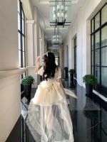 2025 Nueva princesa de media mariposa con palabras de amor, vestido de cola fina y brillante de jacquard, vestido de cumpleaños - details 10