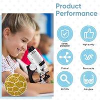 Microscopio de bolsillo para niños L Light Juego de ciencia portátil 60-120X - details 4