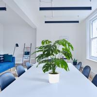 Planta Artificial Monstera en Maceta