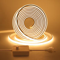 Tira de luces LED COB regulable para exteriores, cinta de 288leds/M con enchufe europeo de 220V, RA90, de alto brillo, para iluminación de jardín, dormitorio y cocina - details 0
