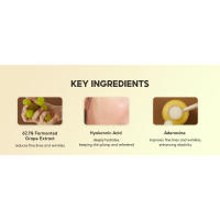 Papa Recipe Noble Rot Lifting Ampoule 30ml, 1oz - Esencia coreana para el cuidado de la piel sensible - details 3