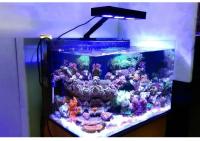 Luz de acuario Spectra Nano M029, iluminación de agua salada de 30W/40W con Control táctil para pecera de arrecife de Coral - details 1