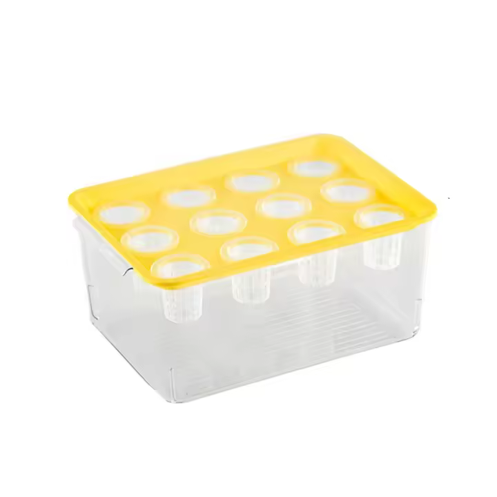 Tanque de cultivo hidropónico transparente para peces, cultivo sin suelo, caja de plantación de vivero autolimpiante, entorno saludable - 1