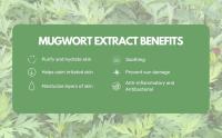 Mugwort Cleanser