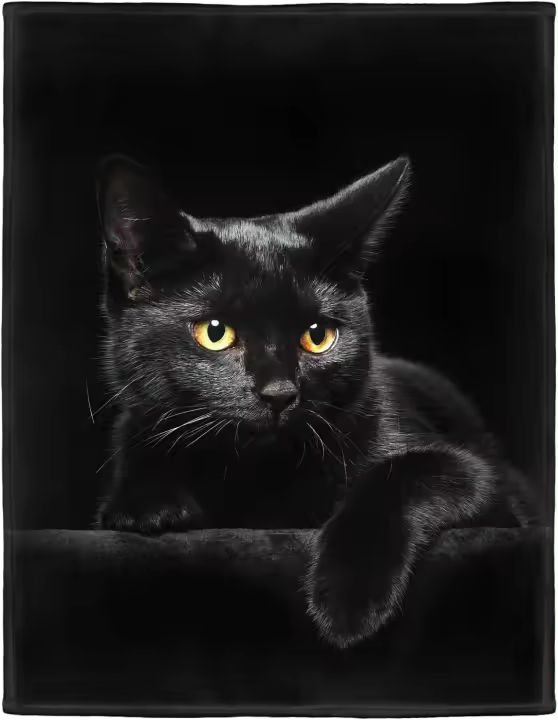 HommomH Manta suave y esponjosa de franela con diseño de gato negro - 1