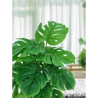 planta artificial